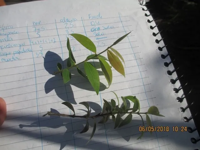 Imagem Ilustrando ENV Imagem Ilustrando ENV