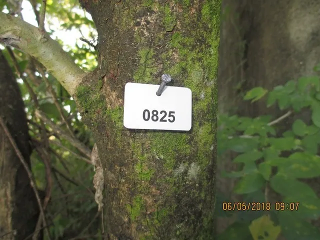 Imagem Ilustrando ENV Imagem Ilustrando ENV