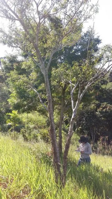 Imagem Ilustrando ENV Imagem Ilustrando ENV