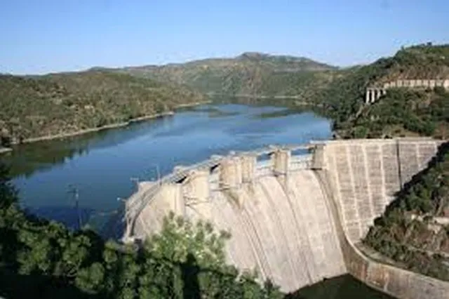 Imagem ilustrativa de pacuera plano ambiental