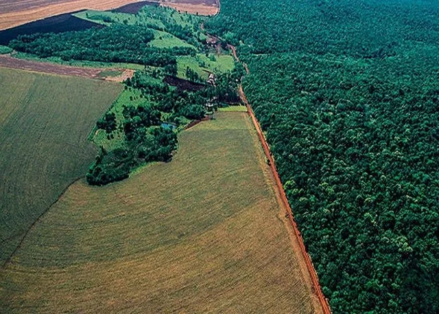 Imagem ilustrativa de regularização ambiental do imóvel rural