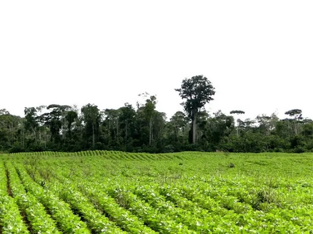 Imagem Ilustrando ENV Imagem Ilustrando ENV